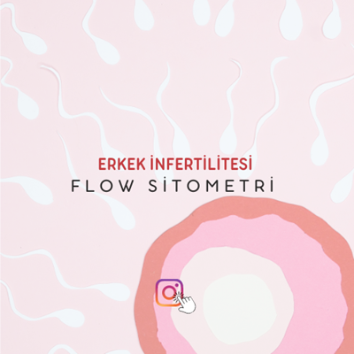 Erkek ınfertilitesi Flow Sitometri