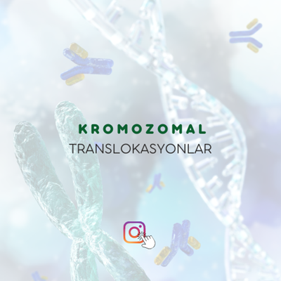 Kromozomal Translokasyonlar